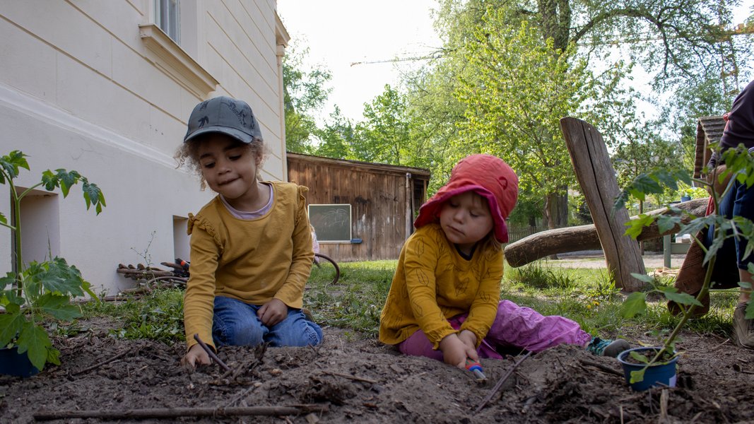 Kinder beim Einpflanzen
