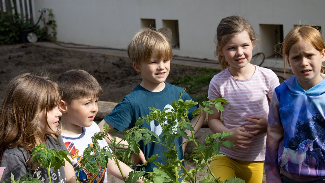 Kinder im Pflanzgarten