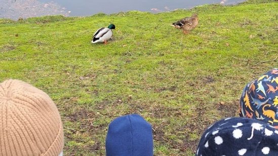 Entdeckungen im Park Sanssouci