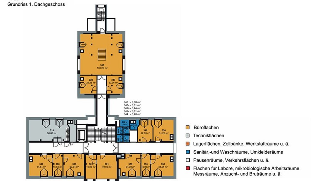 Grundriss Dachgeschoss von Haus 17