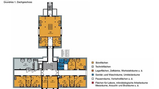 Grundriss Dachgeschoss von Haus 17