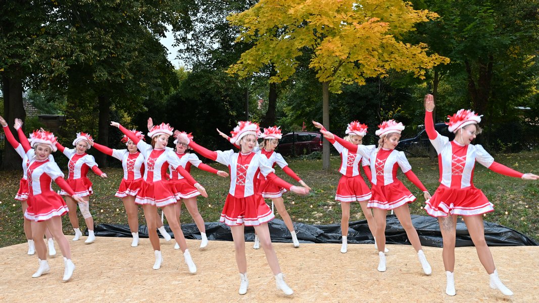 Die Prinzengarde tanzt vor Herbstlaub.