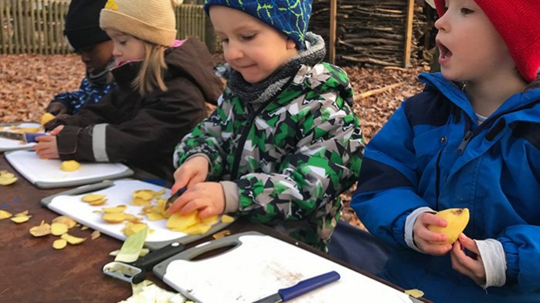 Kinder beim Kartoffel schneiden