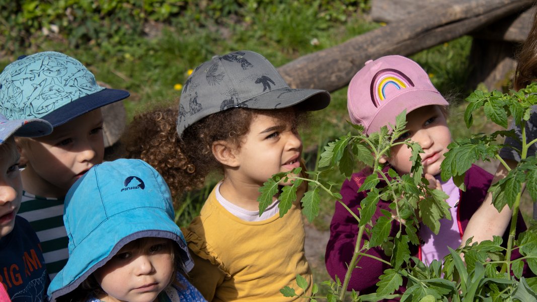 Kinder im Pflanzgarten