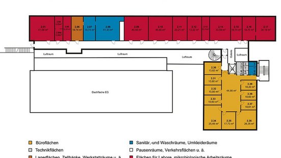 Grundriss 1. Obergeschoss von Haus 20a - Biotechcampus Potsdam-Hermannswerder